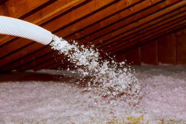 Best Specialty Insulation in Chlicothe, IL