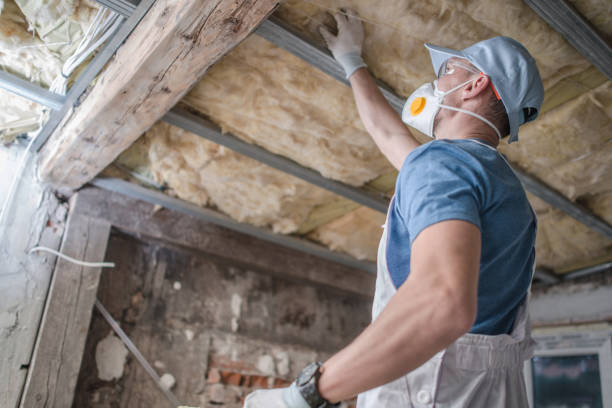 Best Insulation Installation Services in Chlicothe, IL